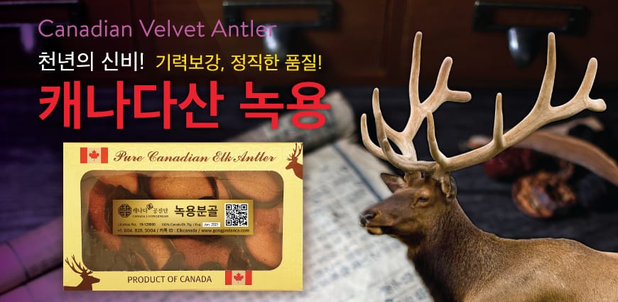 녹용 | 캐나다 밴쿠버 건강식품